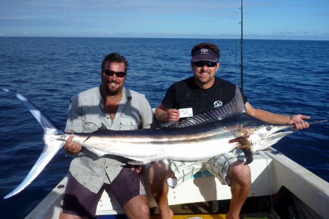 First Marlin + Vid First Marlin + Vid
